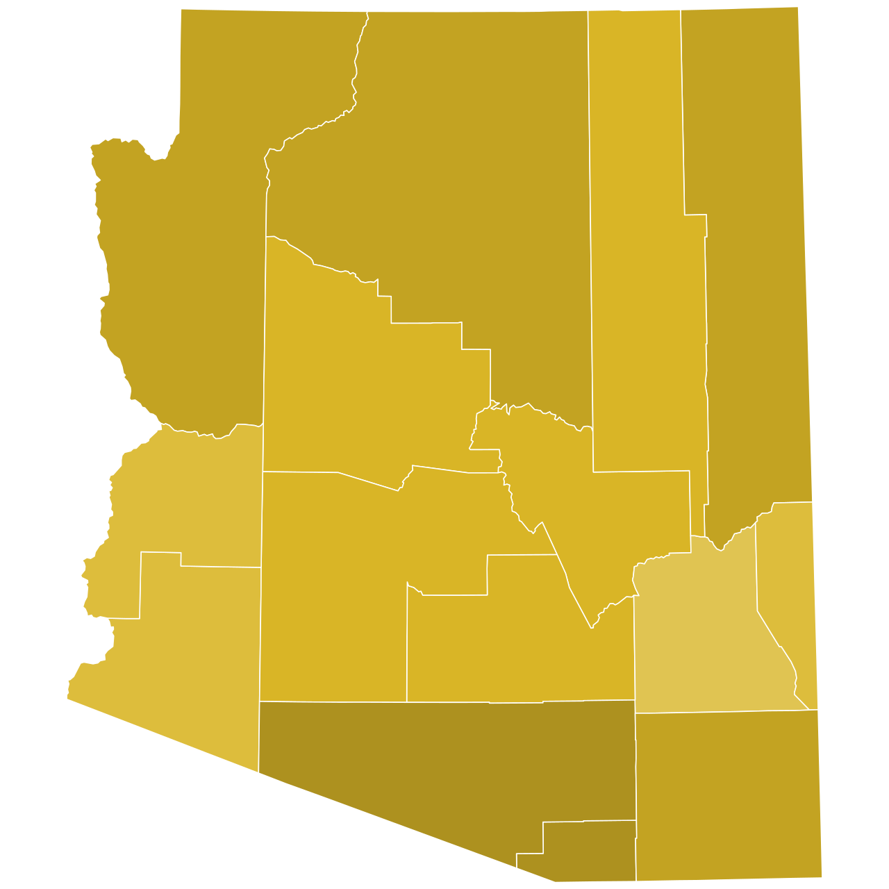 Arizona Primary Races