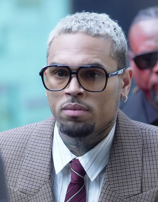 Chris Brown Pleads Guilty