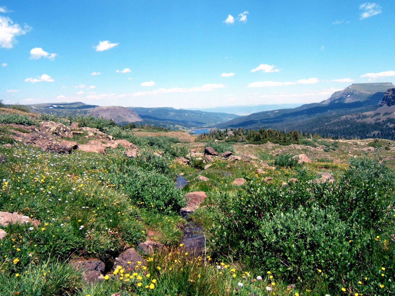 Colorado River Reservoirs Hit Record Lows