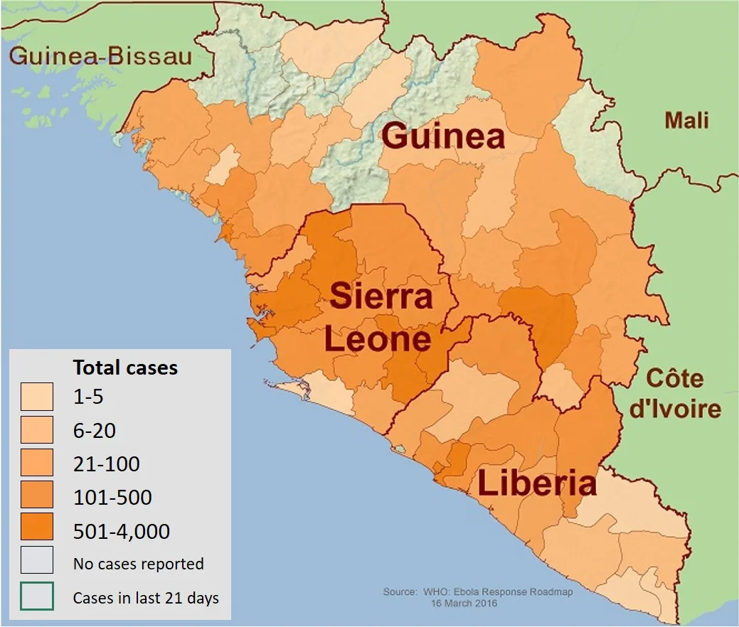 Ebola Outbreak: WHO Warns of Rising Infection Rates