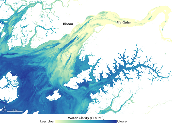 Guinea-Bissau's Biodiversity