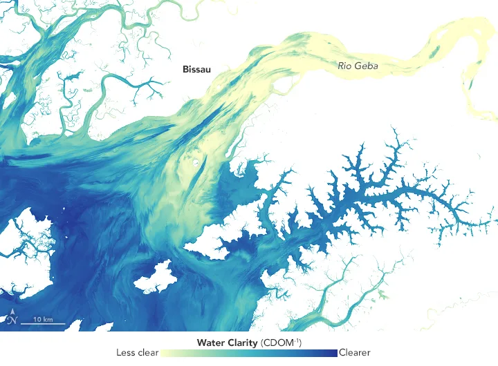 Guinea-Bissau's Biodiversity