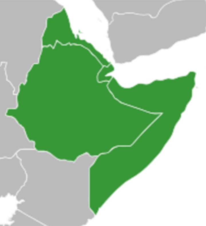 Horn of Africa Diplomacy