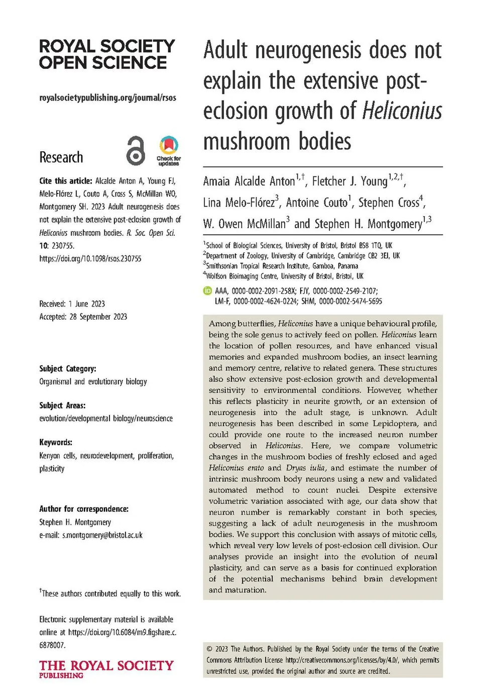 Magic Mushrooms Reshape Brain