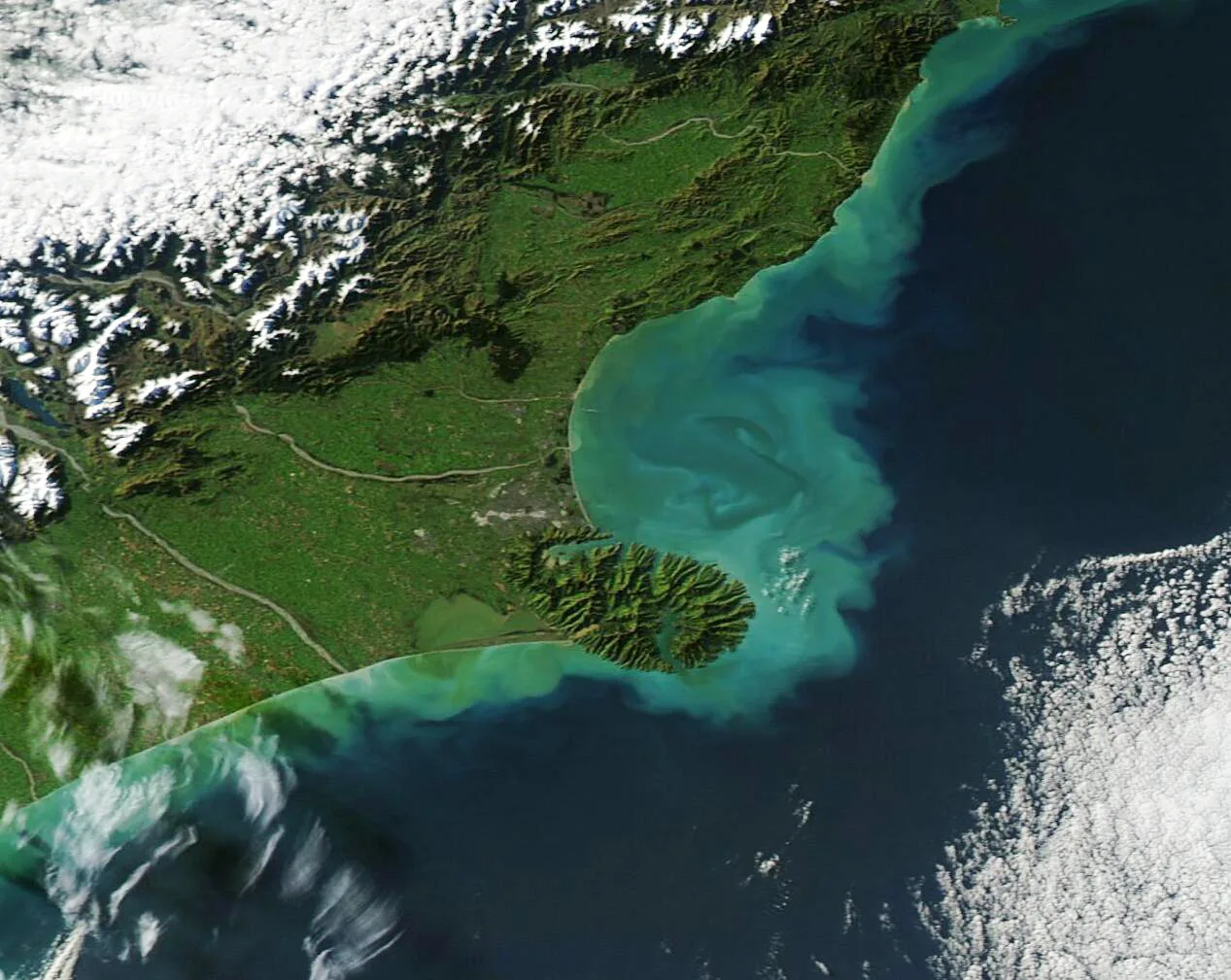 New Zealand's Rare Snowfall Delight