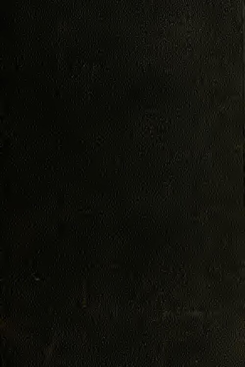 Nolan Wells' Final Hours