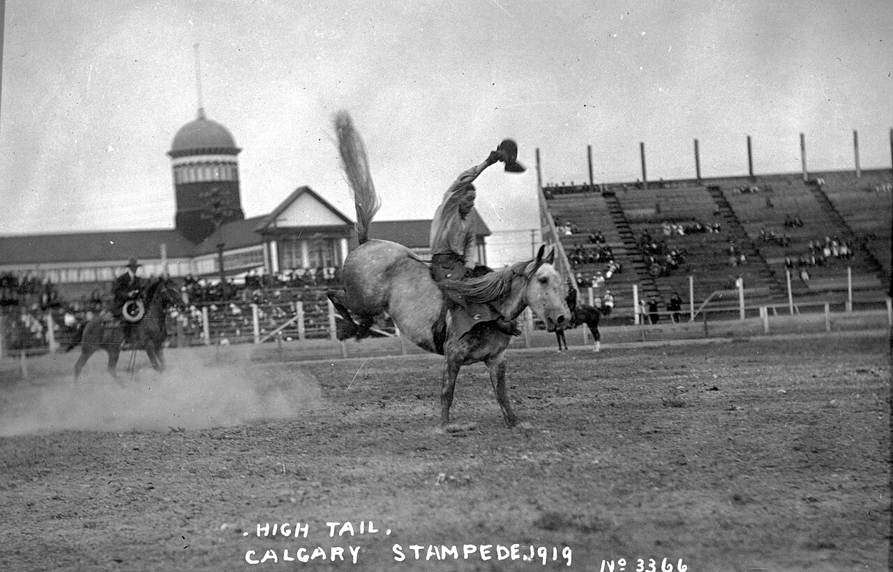 Oil Prices at Calgary Stampede