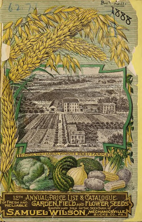 Rising Produce Costs
