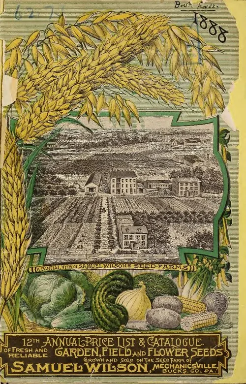 Rising Produce Costs