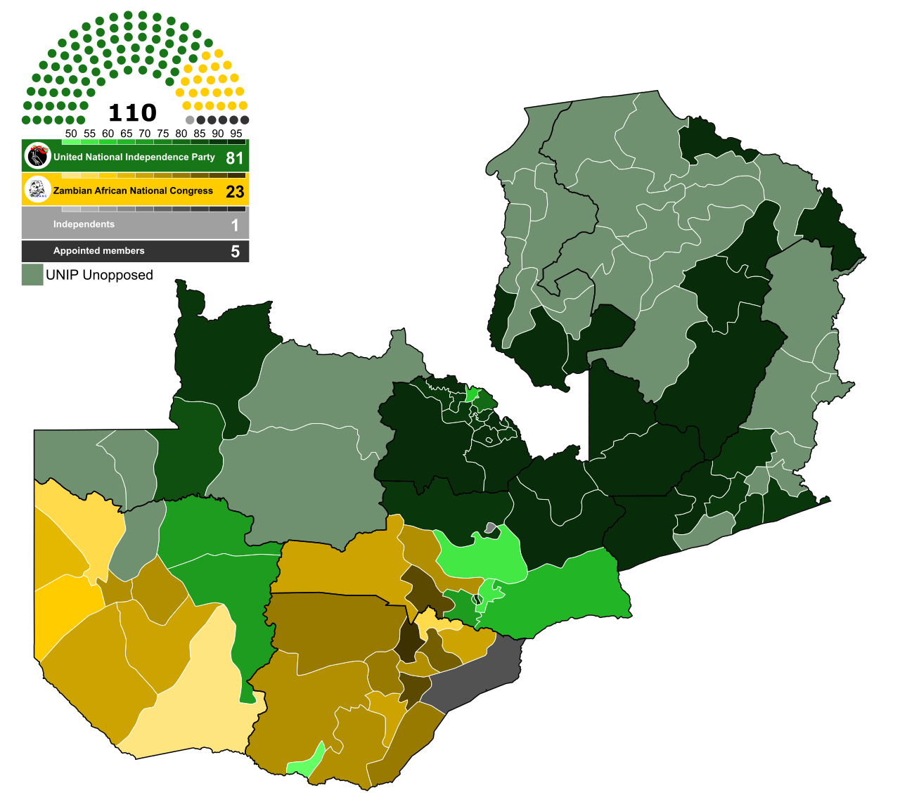 Zambia Election: Hichilema Takes Early Lead